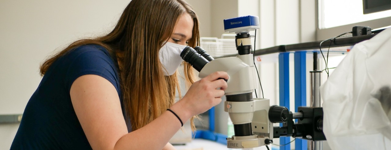 Student in lab looking at slides