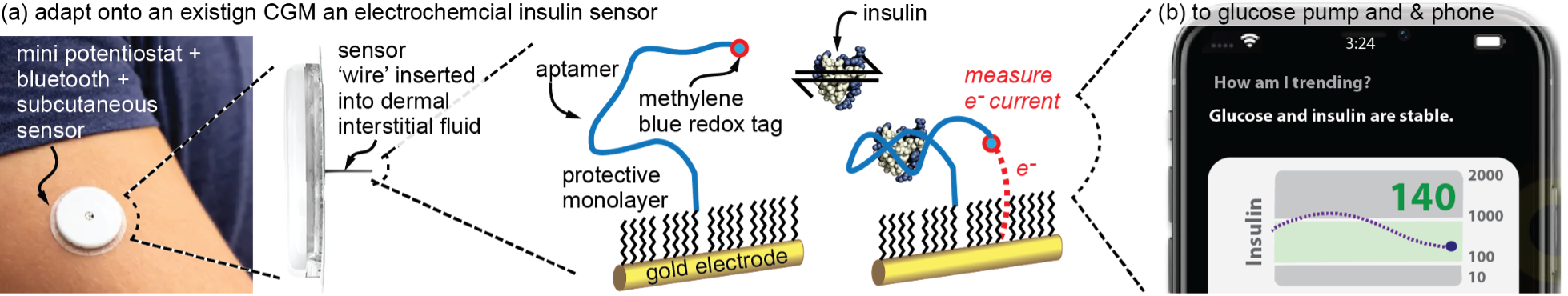 diagram image of health detector and illustration of how it works