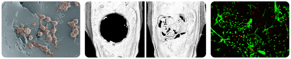 Bioresponsive lab diagram and imaging