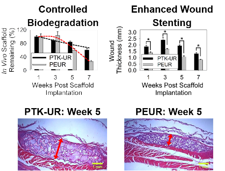 Diagram of enhanced would stenting