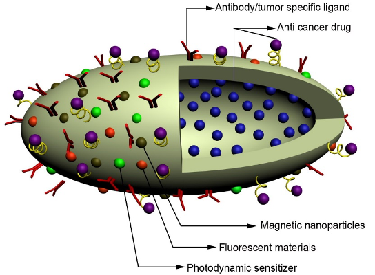 Diagram of nanobiomedicine research of nanoparticles 