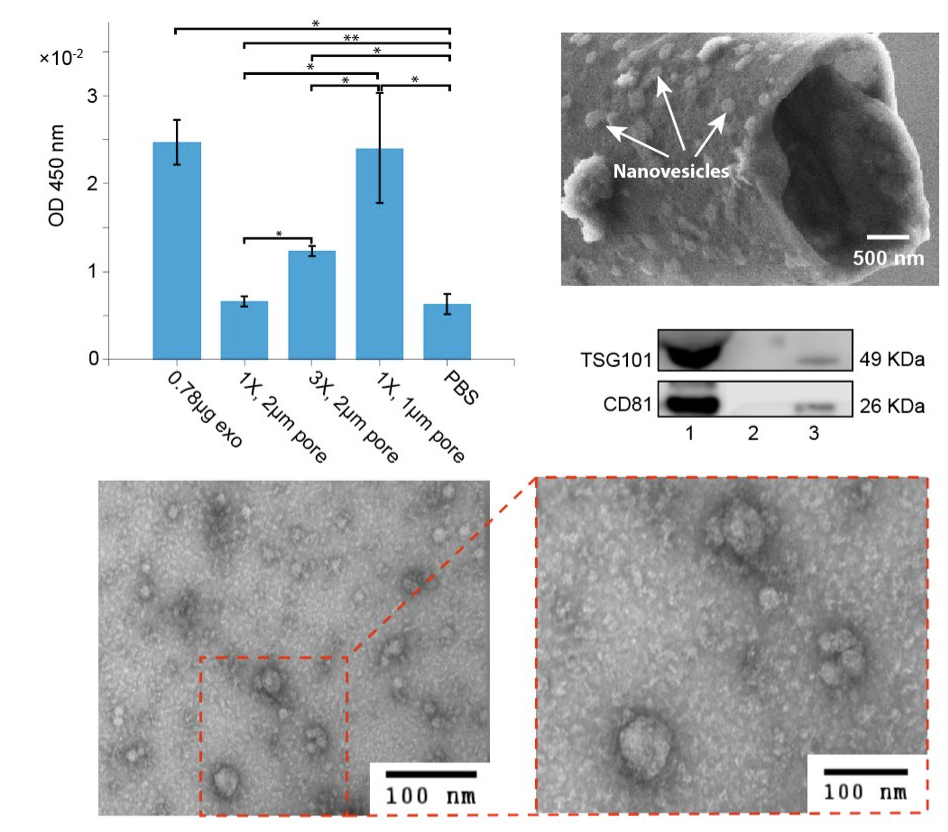 Diagram showing quantification and Characterization of detected biomarkers 